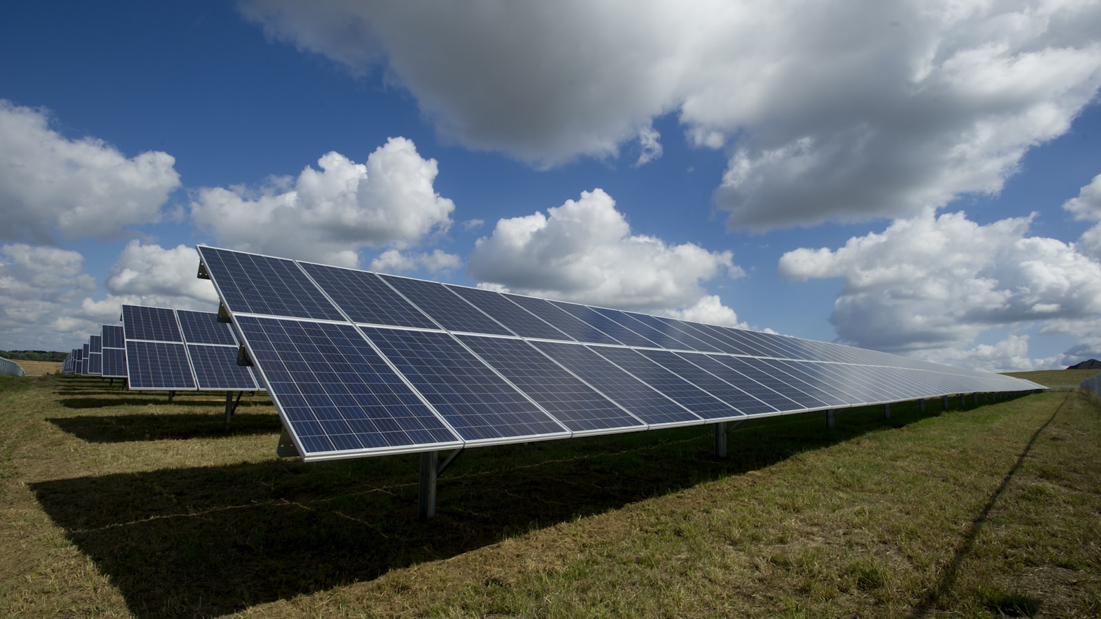 Sustainability & ESG